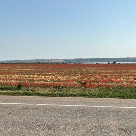 The Road Back to Kyiv