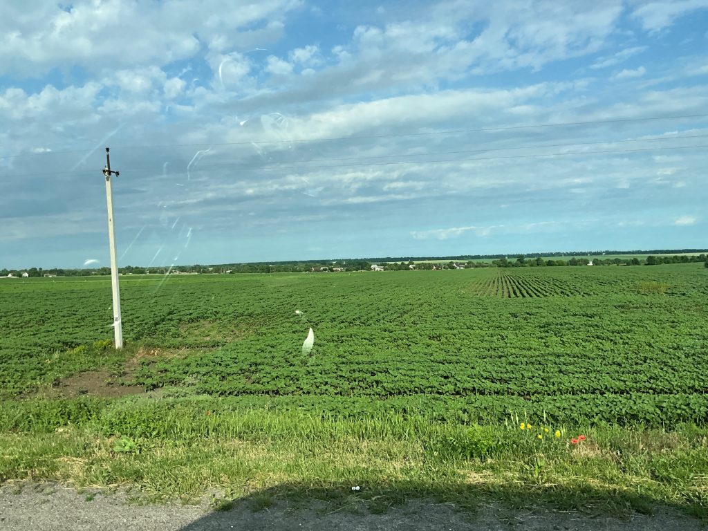 farmland