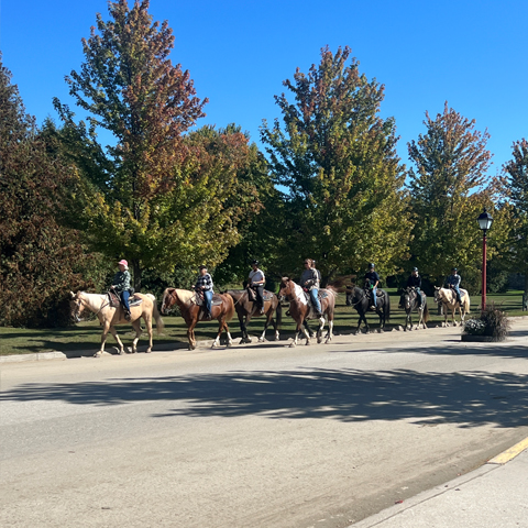 Great Lakes Cruise: Mackinac Island